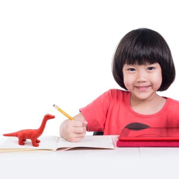 Dinosaur 3D Puzzle Erasers – Fun Mini Erasers for Kids & Party Favors