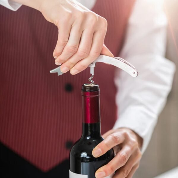 03_wine-operner.jpg Premium Wine Bottle Shape Bar Accessory Gift Set