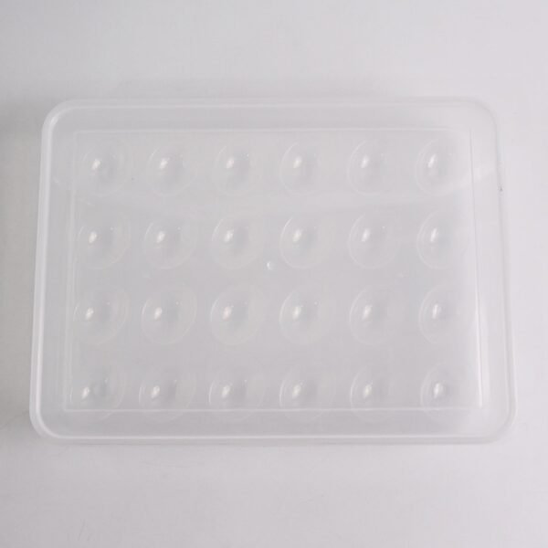 Plastic Egg 24 Grid Storage Container Holder Refrigerator Egg Tray Holds 24 (1 Pc)