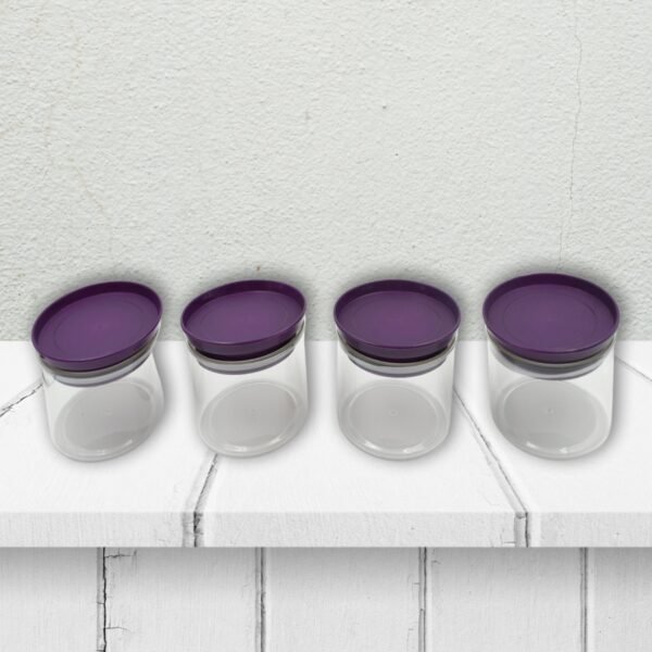 Airtight Plastic 4 Pc Storage Container Set, With Storage Container