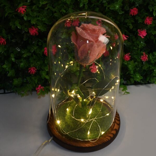 04_0b062327-621e-4c3f-a260-6966f138799a.jpg Glass Flower with Led Light Great Gift (1 Set)