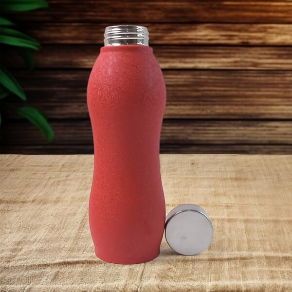 Stainless Steel Water Bottle (1000ML / Mix Colour / 1 Pc / Crocodile)
