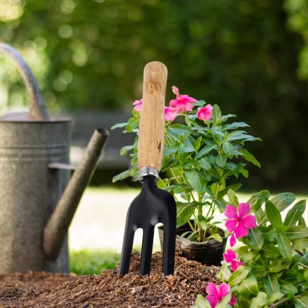 Hand Weeding Fork (Steel, Black)