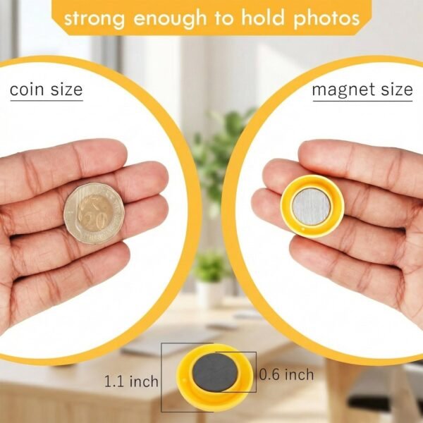 Colorful Round Refrigerator Magnets Set (12 Pc Set)