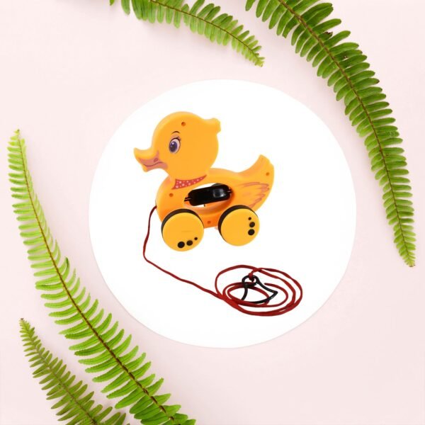 Pull Along Toy with Attractive Design, Developmental Toy for Girl Boy (Duck)