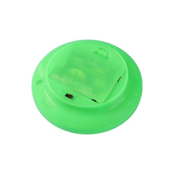 Fiber Optic LED Decorative Lamp (1 Pc)