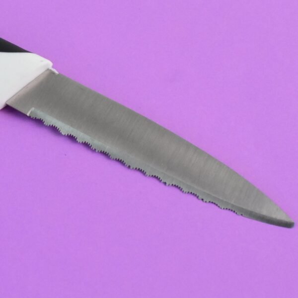 Ritu Stainless Steel Serrated Blade Zebra Kitchen Knife (1 Pc)