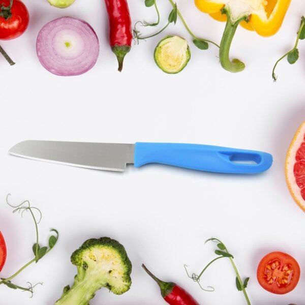 04_837afa9a-ede3-492d-9cf6-545fa93fba7c.jpg Stainless Steel Knife For Kitchen Use, Knife Set, Knife & Non-Slip Handle With Blade Cover Knife, Fruit, Vegetable,Knife Set (1 Pc)