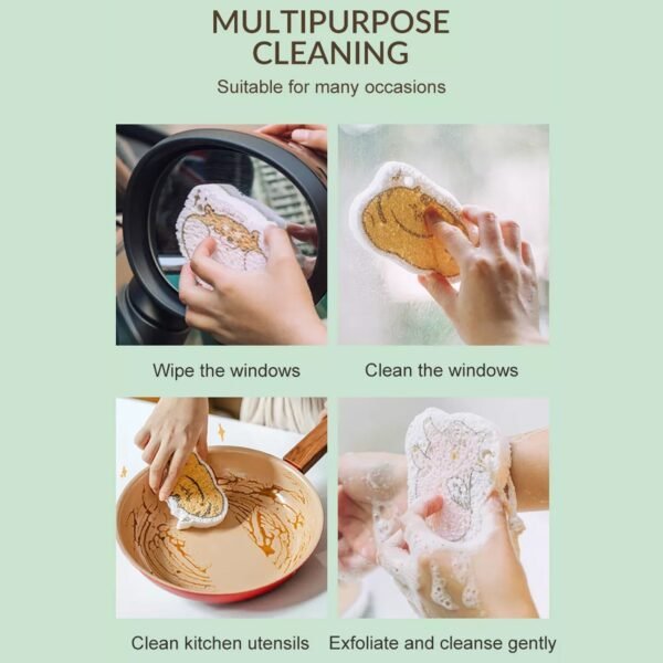 Compressed Wood Pulp Sponge