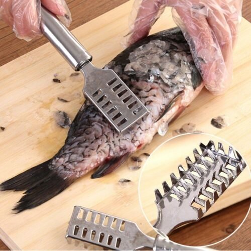 04_af839493-2335-42ac-a667-f44c0865ef44.jpg Stainless Steel Fish Scale Remover Scraper – Sawtooth Kitchen Tool