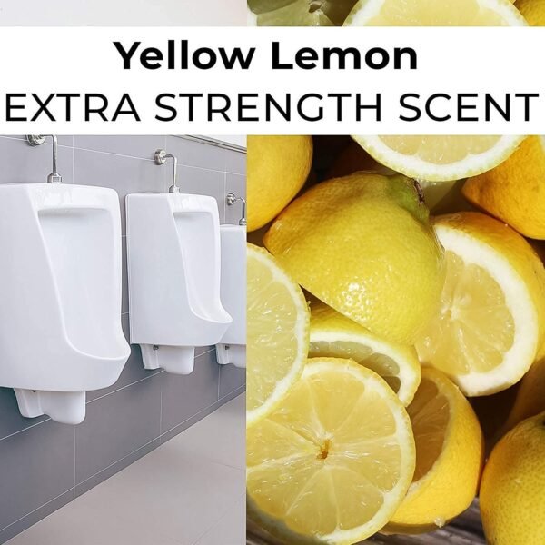 Urinal Screen Deodorizer Mat (2 Pc Set)