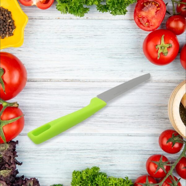 Stainless Steel Knife For Kitchen Use, Knife Set,  Fruit, Vegetable,(Mix Design 1 Pc)