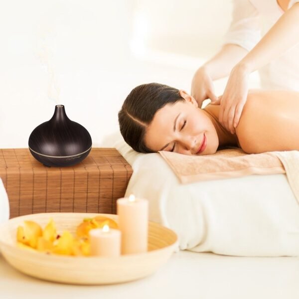 04_c3922a49-cac4-40c4-b782-6ca3b9cb36cf.jpg Aromatherapy Humidifier with 7 Colourful LED Light Change (500 ML Capacity)