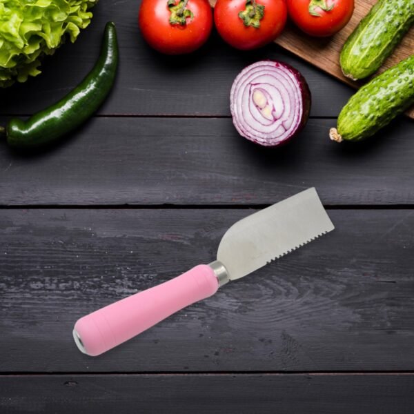 Stainless Steel Knife For Kitchen Use, Knife Set,  Fruit, Vegetable,(Mix Design 1 Pc)
