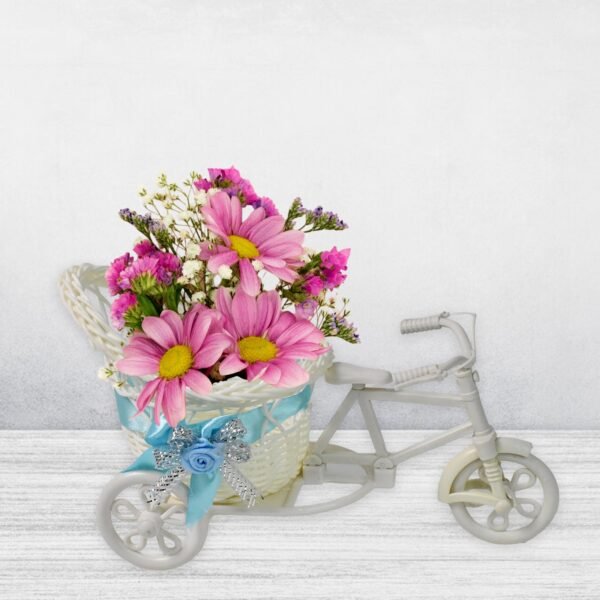 04_e4348fd1-9f35-4bed-9bad-fe6d12d7de86.jpg Plastic Cycle Flower vases for Home decor; Bicycle Flower Pot Stand