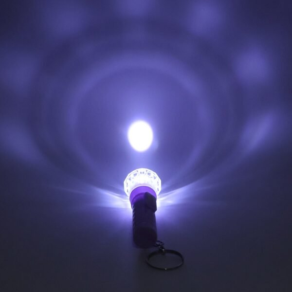 04_e5347335-306f-41a1-b5a4-da3a8494558c.jpg Mini LED Flashlight Keychain Torch (Mix Color & 1 Pc)