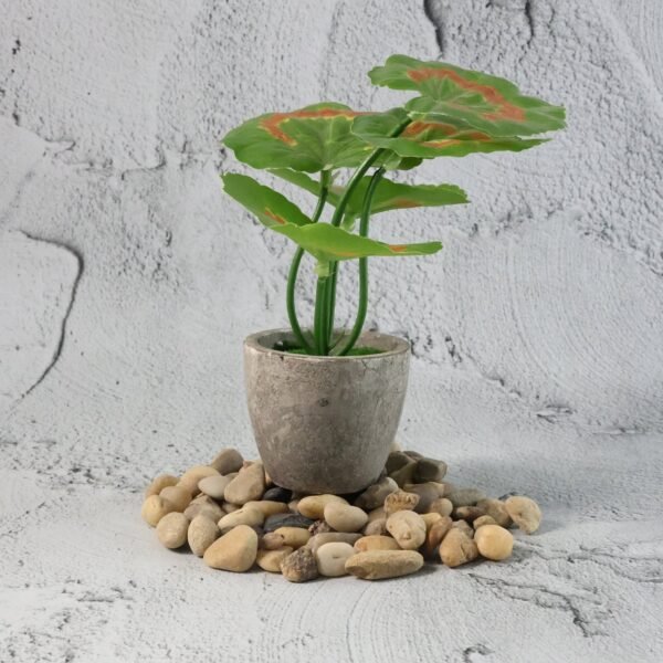 04_stones.jpg Decorative River Rock Stones (1 Set)