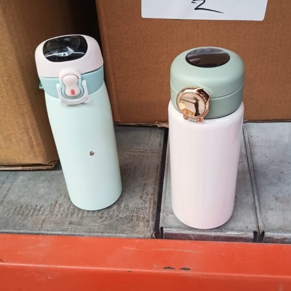 Smart Vacuum Insulated Water Bottle with LED Temperature Display (450 ML)