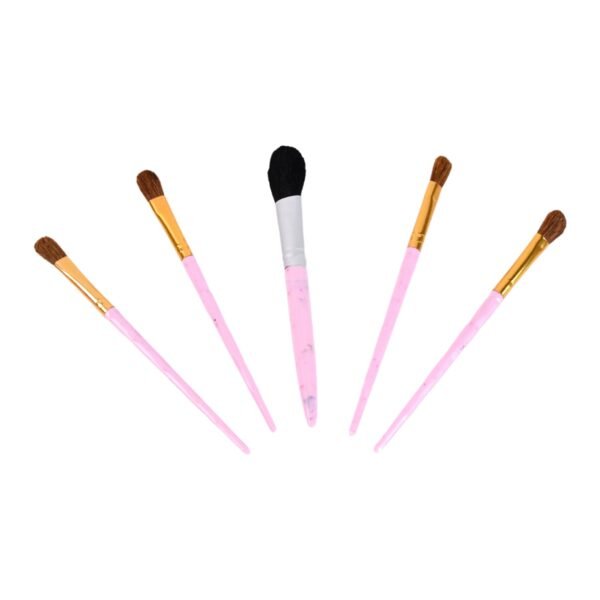 5pc Makeup Brush tools kit (5 Pcs Set / Mix Color)
