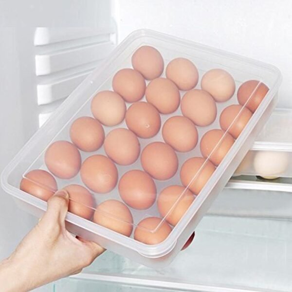 Plastic Egg 24 Grid Storage Container Holder Refrigerator Egg Tray Holds 24 (1 Pc)