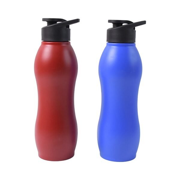 Stainless Steel Water Bottle (1000ML / Mix Colour / 1 Pc / Matte)