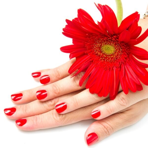 05_196aaa3e-768f-48b8-93f4-3f40eda8b6c4.jpg Stainless Steel Folding Portable Large Nail Clippers with Nail File (1 Pc / Mix Design)