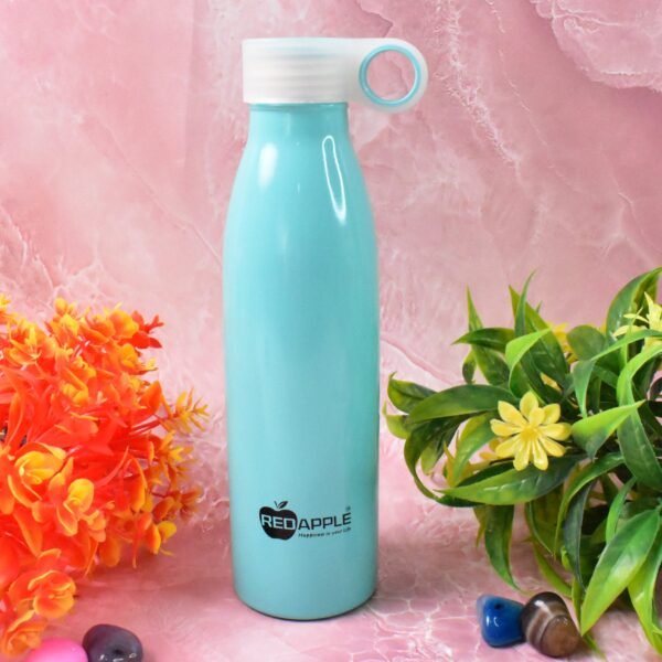 Stainless Steel Water Bottle (750 ML / 1 Pc)