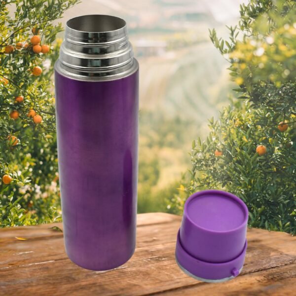 Stainless Steel Water Bottle – Leak Proof Gym Bottle (500 ML)