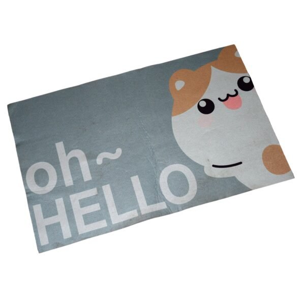 Square Bathroom mat Water Door Mat   for Home, Kitchen (59x40) (Mix Design)