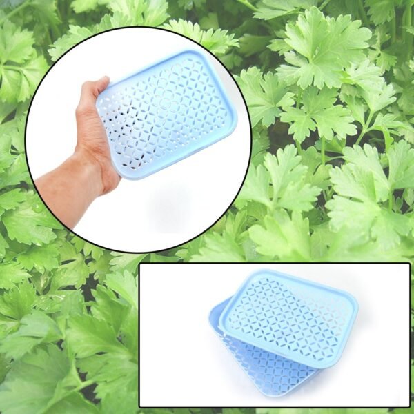 05_3c7a4a21-8c93-4154-8e52-9ec40c4dda1f.jpg 1 Pc Kothmir Basketused in all types of household places