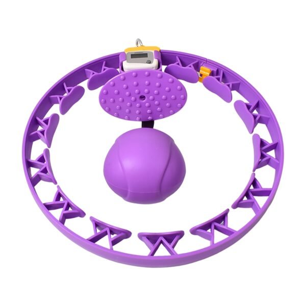 05_3d3044c8-4720-4db0-b6bb-9c091af89f0e.jpg Smart Fitness Hula Hoops with Ball and Intelligent Counter (1 Pc / With Brown Box)