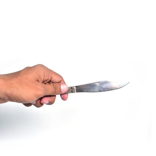 8 Pieces Dinner Knife Cutlery Set Used for Salad sandwich and Portable