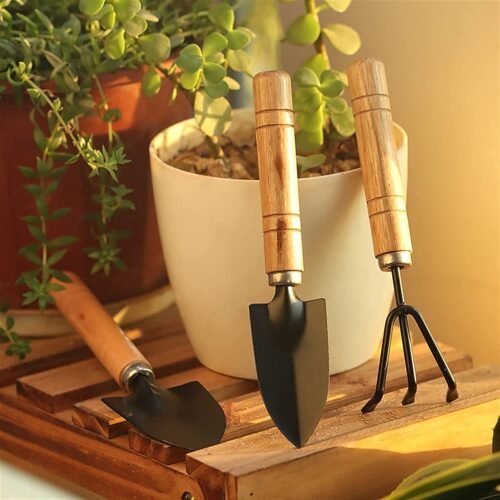 05_4d8d3881-8e8a-4ec9-ae84-c70b07af3166.jpg Small sized Hand Cultivator, Small Trowel, Garden Fork (Set of 3)