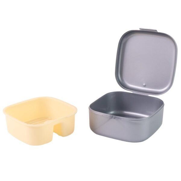 Oblivion Teeth Storage Box with Lid and Inner Tray, DENTURE CASE (1 Pc)
