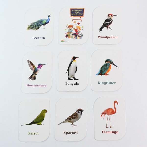 KidKraft Early Learner Educational Flashcards – 32 Birds