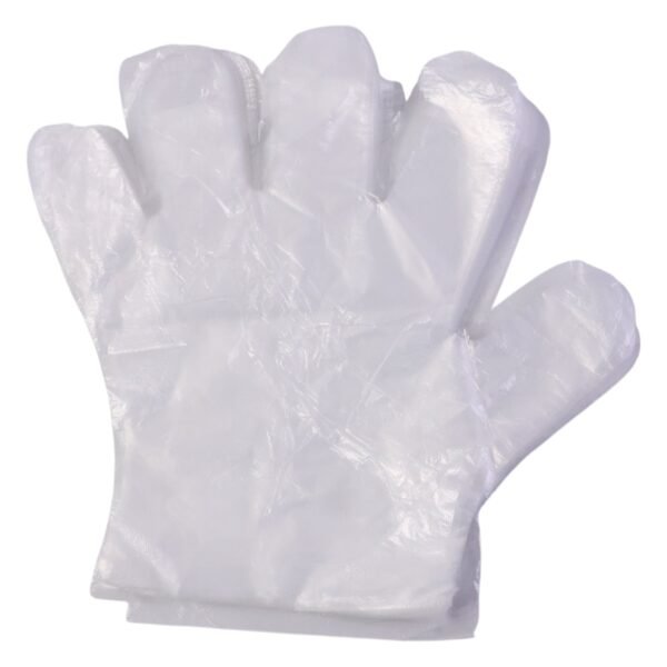 Disposable Transparent Plastic Gloves (100 Piece Pack)