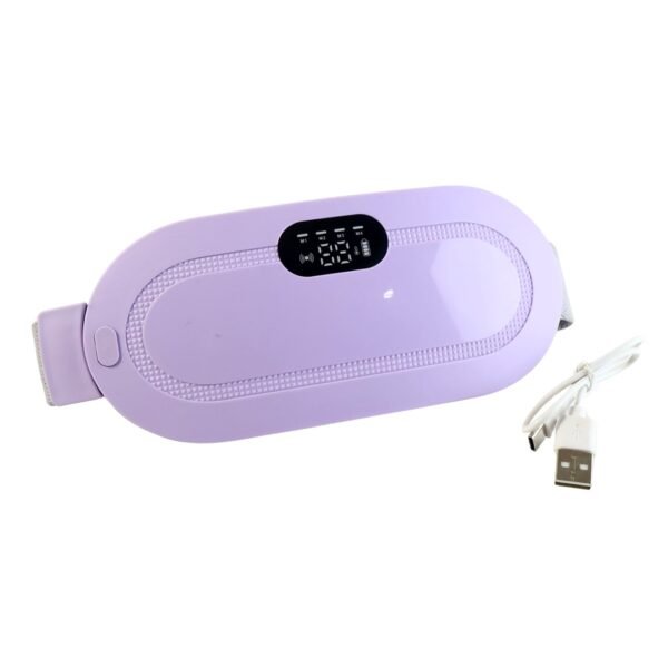 05_7dbbb4d3-7b75-40d2-b21d-141cc334a909.jpg Rechargeable Smart Warm Palace Belt (1 Pc)