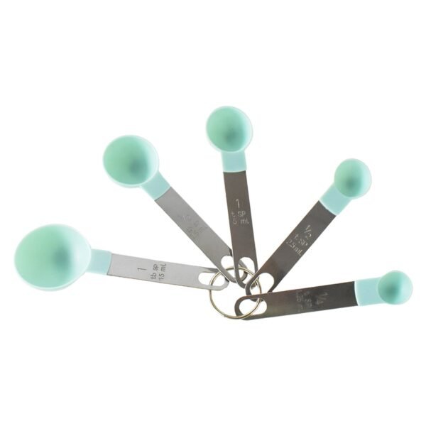 Stainless Steel and Plastics Measuring Spoon (Set of 5 Pc)