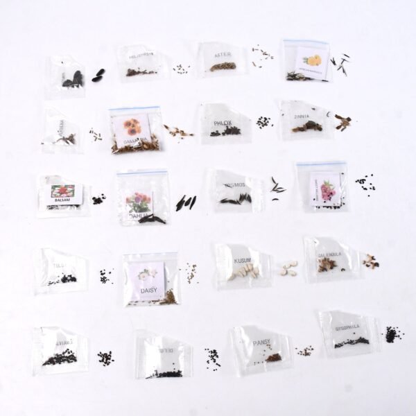 Seeds 20 Varieties of Flower Seeds Combo (1 Pkt / 20 Varieties)