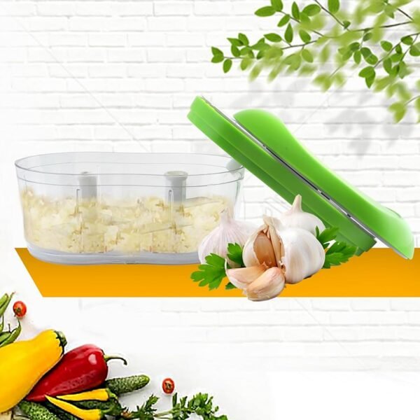 Manual Hand Push Garlic Cutter & Vegetable Chopper (1 pc)