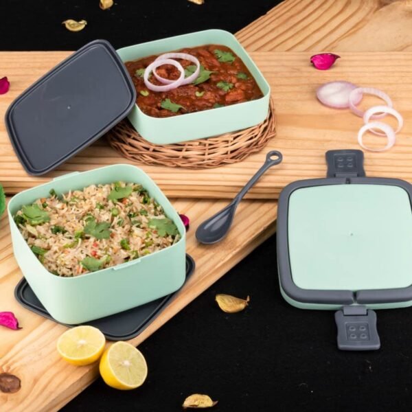 GREEN DOUBLE-LAYER PORTABLE LUNCH BOX