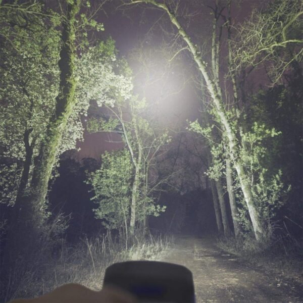 3W COB LED Work Light (1 Pc)