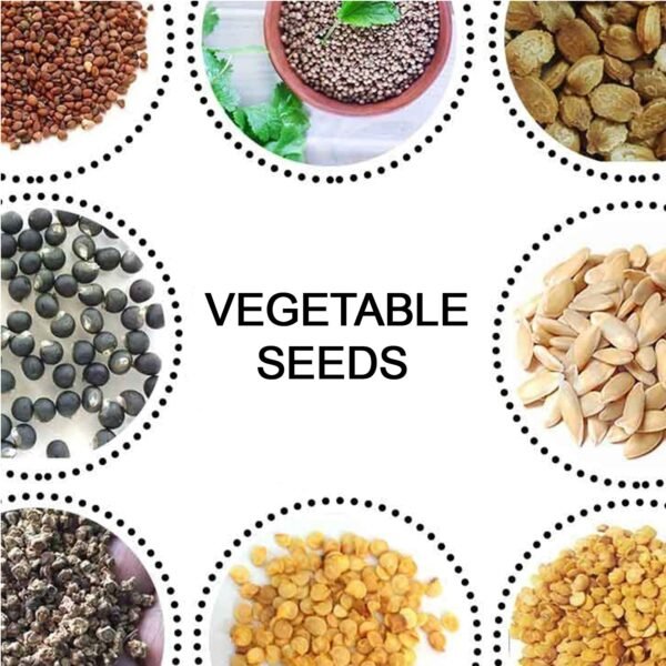 05_d5149045-294d-470a-9d99-548e75aa17e7.jpg 15 Varieties of Vegetable Seeds Combo (1 Pkt. / 15 Varieties)