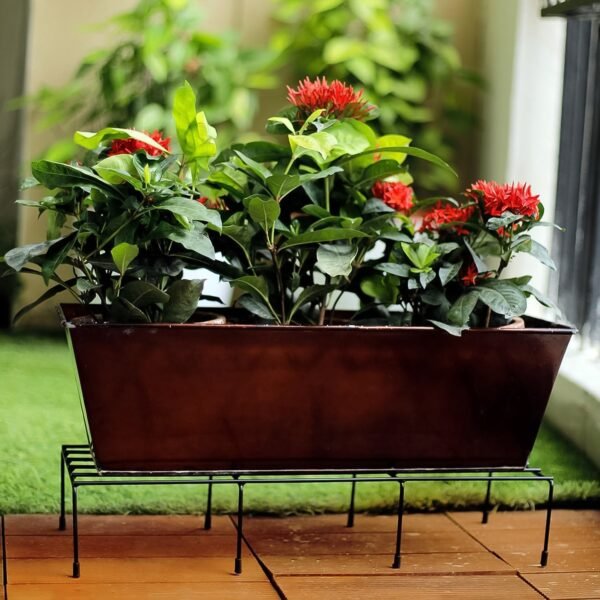 05_f9bd8753-fd6f-4c8c-9707-0710cb562484.jpg Metal Rectangle Flower plant stand for balcony (60×20 Cm / 2 Pc Set)