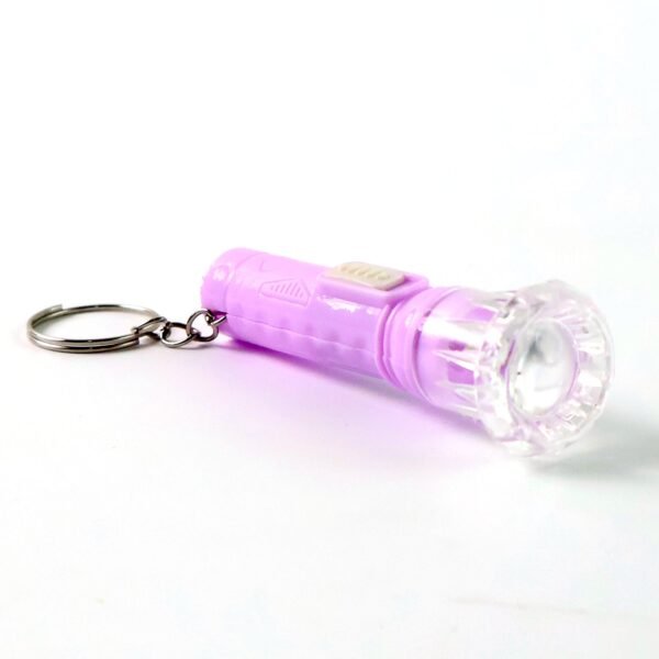 05_fd326572-0542-4226-86e5-dbf8d7118200.jpg Mini LED Flashlight Keychain Torch (Mix Color & 1 Pc)