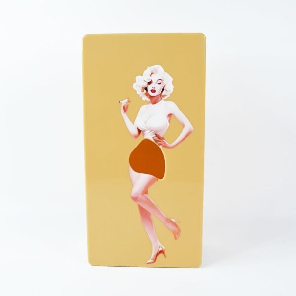 Plastic Creative Tissue Dispenser Box (1 Pc)