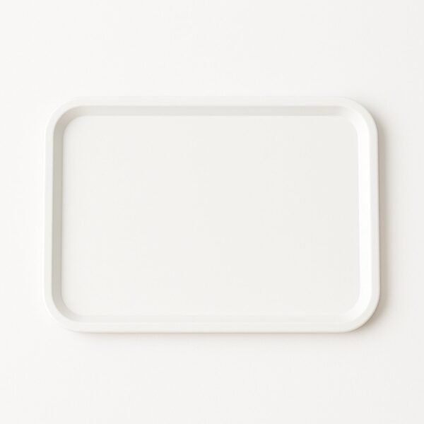Plastic Serving Tray / Plate – 40 × 30 cm (1 Pc)