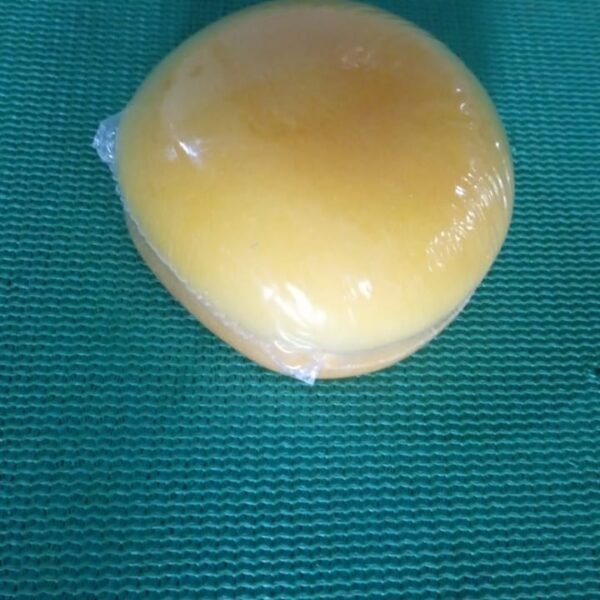 Burger Shaped Note / Sticky Notes / Memo Notes, Unique Mini Notes (Multicolor)