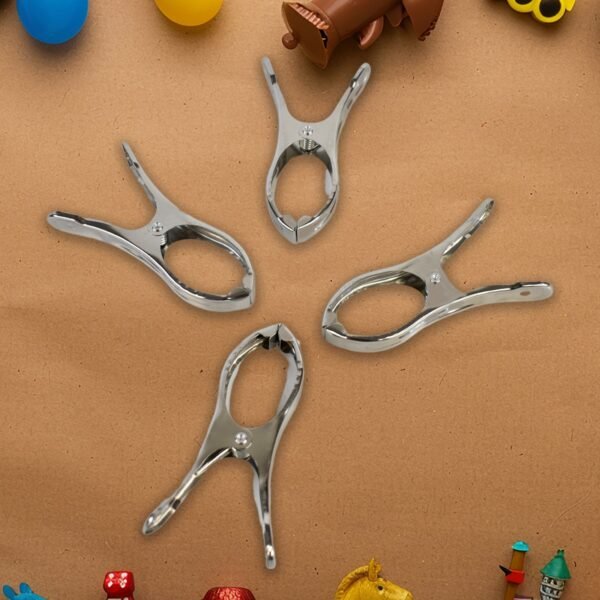 Stainless Steel Clothes pins Beach Towel Clips (10 Pcs Set)