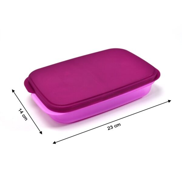 Unbreakable Leak-Proof BPA-Free Lunch Box with 2 Containers & Spoon